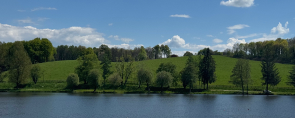 Vakantiehuisjes te huur