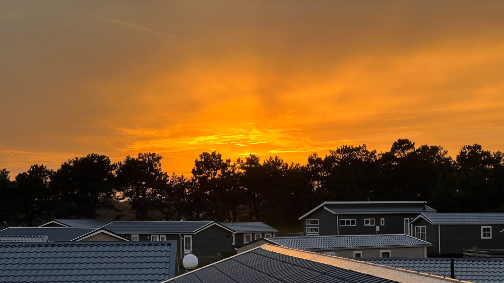 Spreeuw gebied Loodsmansduin