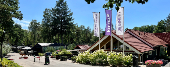 Receptie vakantiepark De rimboe