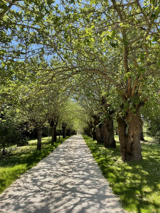 domaine-la-croze